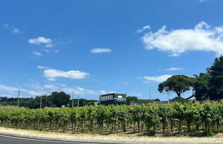 Casa da Arrábida - Foto 32