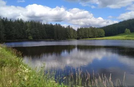 Ferienwohnungen Kremser bei Spiegelau Eppenschlag - Foto 60