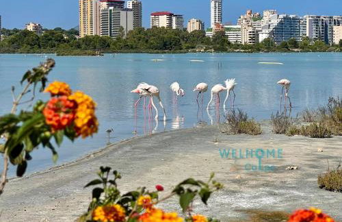 MANZANA bonito y cómodo apartamento con piscina - Photo 43