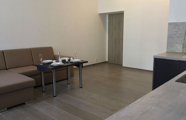 Euro Apartments Lidická 39 Brno - Foto 8
