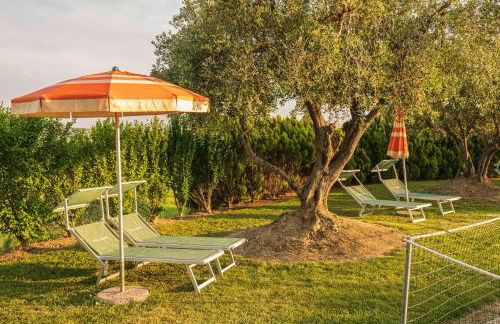 Agri Divin Amore - Foto 44