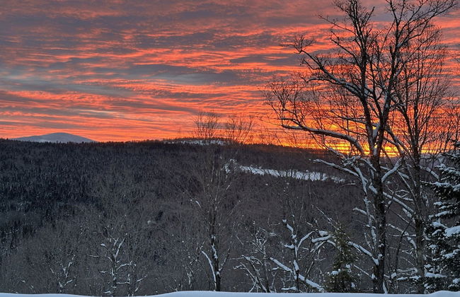 Birch Haven Tree House Directly ON Trail - Photo 8