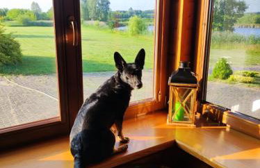 Dom wakacyjny Danielsja - Foto 17