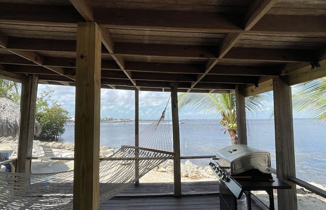 Kings Kamp - Foto 71