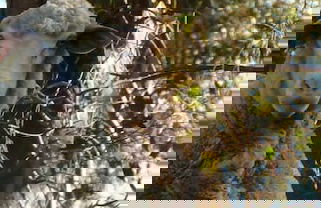 Neagles Retreat Villas - Foto 24