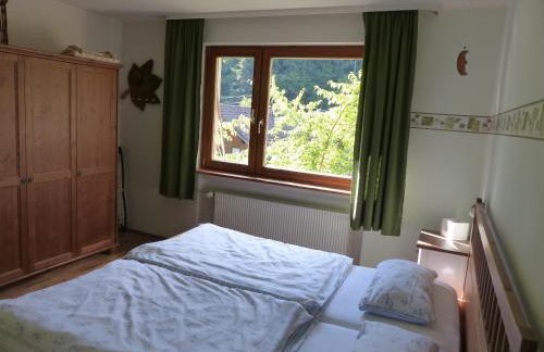 Ferienwohnungen in Schönmünzach - Photo 42