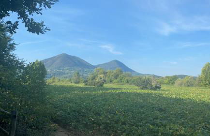 APPARTAMENTO PANORAMICO - Foto 6