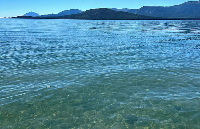 Little Atlin Lodge - Photo 51