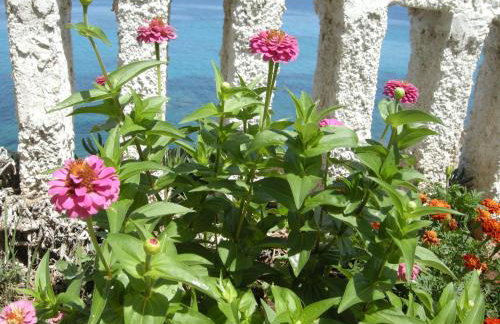 Alkioni Studios - Foto 63