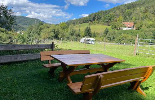 Ferienwohnungen Schwabenhof - Foto 43