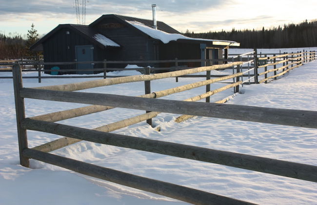 Woodhouse Cottages and Ranch - Foto 13