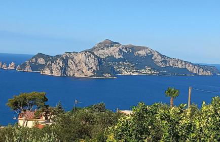 Delizia Caprese - Photo 1