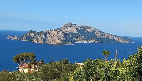 Delizia Caprese - Foto 1