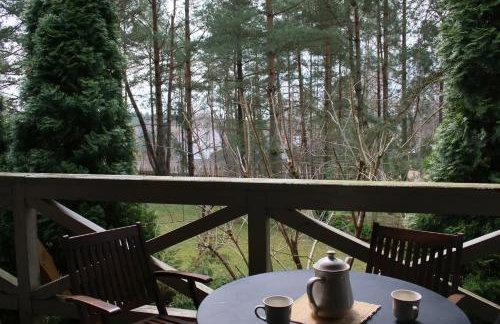 Całoroczny dom wakacyjny Kotkowo 93 - Photo 4