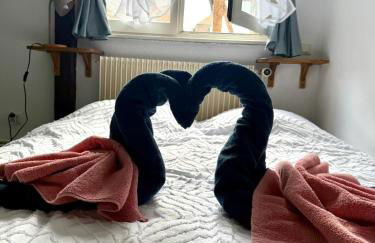 Le Nid du Veilleur-10min de Colmar - Photo 23