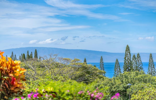 Kapalua Ridge Villas 2612 - Photo 29