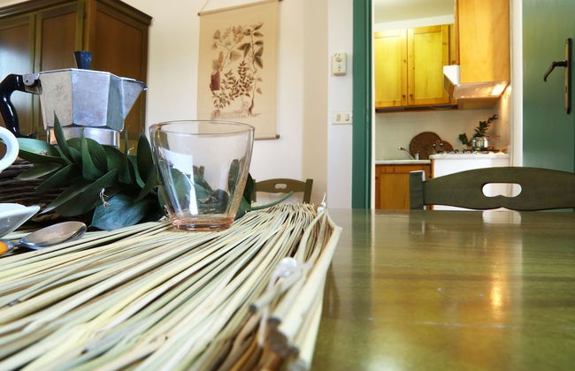 Azienda Agricola Francesca Stajano - Foto 23