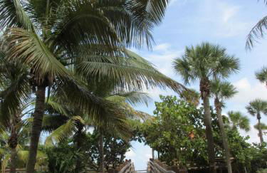 Ocean Blue - Foto 23