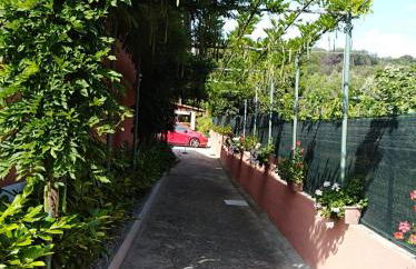 Casa Vacanze Mimose - Foto 19