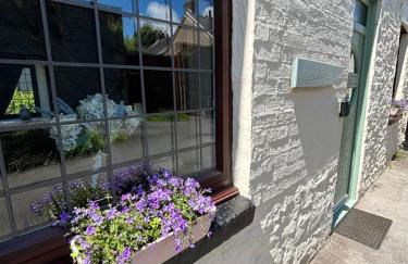 Glanyrafon Cottage - Foto 15