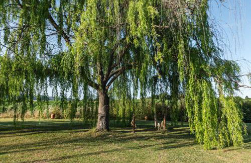 Casa das Jardas - Foto 45