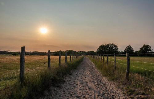 Ostsee Domizil Graal-Müritz - Foto 21