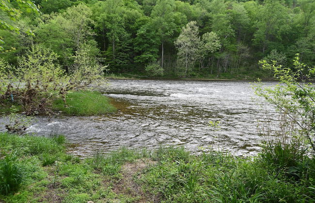 River Walk Cottage - Romantic Escape - Foto 18