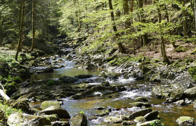 Apartment in Freyung Near Bavarian Forest - Foto 26