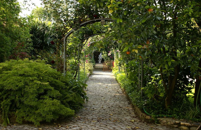 Quinta de São Lourenço - Foto 20