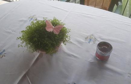 APARTMANI KSENIJA - Foto 19