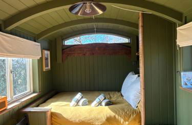 'Russet' Hut on fruit farm - Foto 4