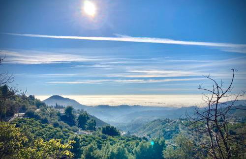 Buenos Sueños- Balcon de Frigiliana - Photo 32