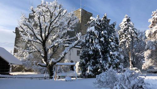 Auszeit in der Burg - Foto 1