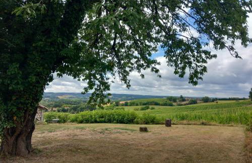 Les Gîtes de La Treille - Foto 54