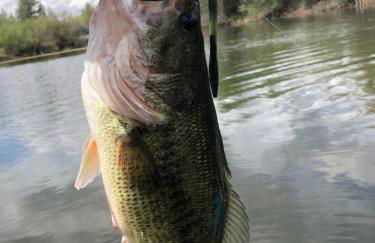 Ruby's Lakefront Lower Penthouse - Foto 40