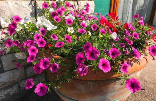 Nidi del faggio rosso - Family Holiday Home - Foto 40