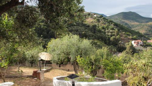 PioppiHouse Villa - Foto 2, Garden