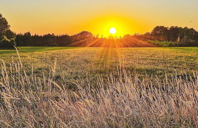 6 Person Holiday Home in Syssleback-by Traum - Foto 10