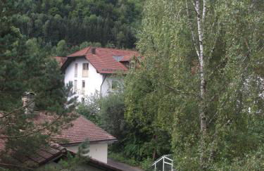 Appartemant Steineberg - Foto 18