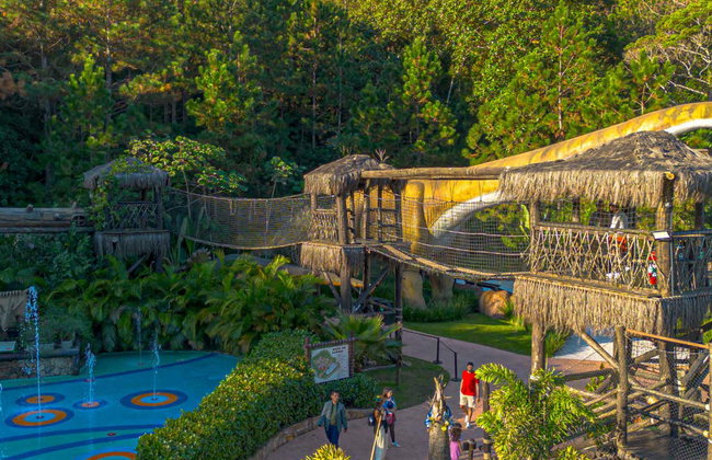 Entrada a Aventura Jurássica - Foto 14