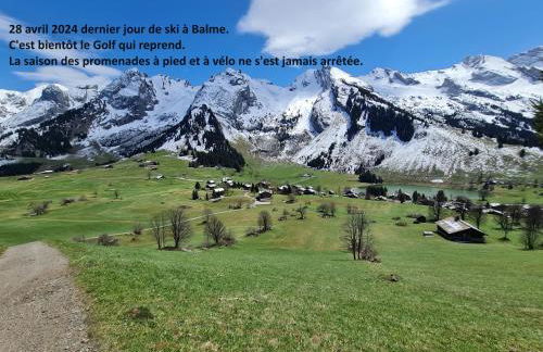 Le Soladret - 2 pièces 4 étoiles - Vue extraordinaire sur les Aravis - Foto 46