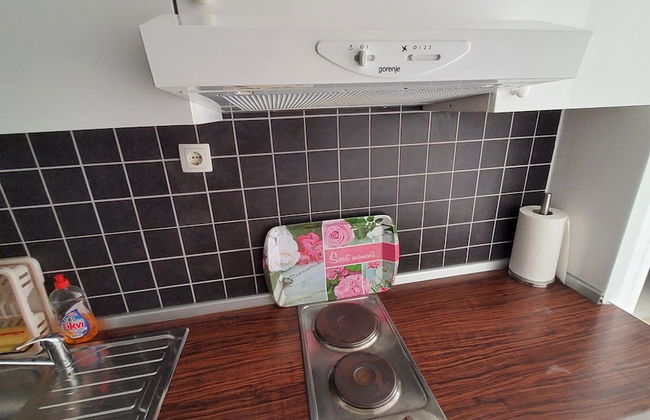 Economy Apartment 12 Sleeps 3 Guests - Photo 9