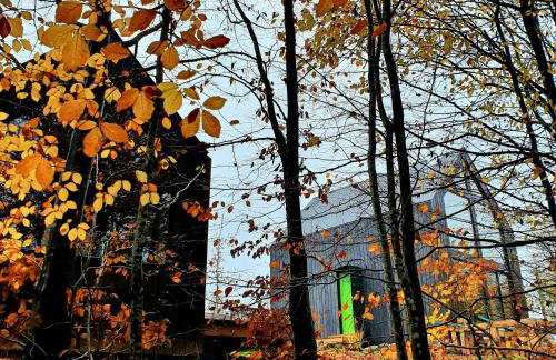 Schody do wody Domek z linią brzegową Kaszuby sauna goraca balia - Foto 62