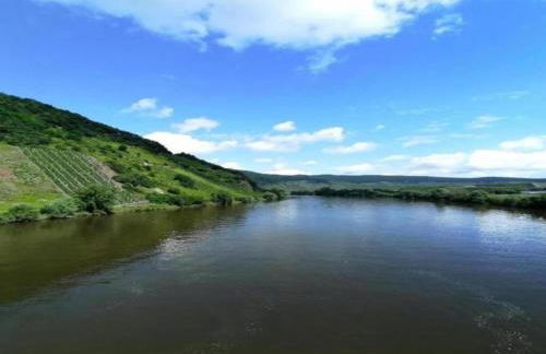 Ferienwohnung Moselblick - Foto 33