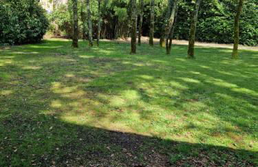 Gite L'Atelier studio de plain pieds accès piscine - Foto 11