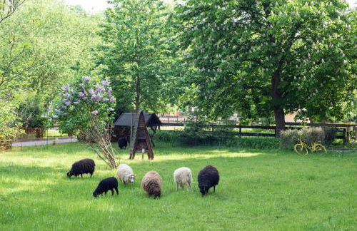 Sonnenschloss - Foto 46