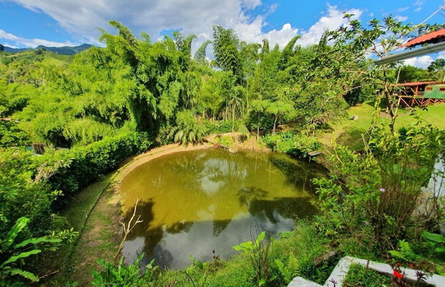 Ecocabañas Pereira - Foto 43