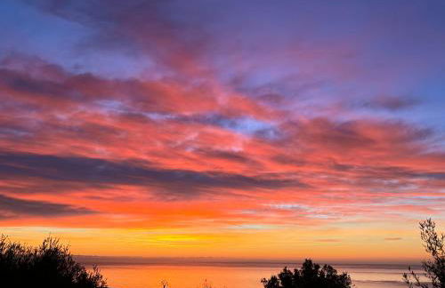 Bella Vita Brando - Foto 20