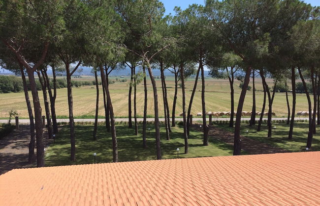 Agriturismo Borgo Bernabei - Foto 111