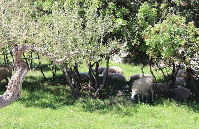 Robinson House Dubrova - Foto 41